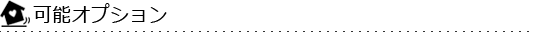 風俗系オプション